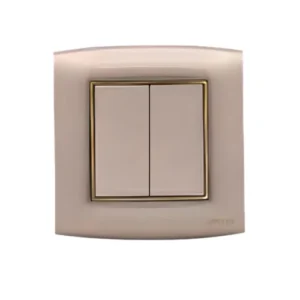 Fancy Gold 2-Gang Switch