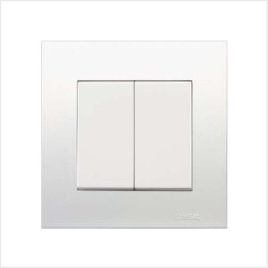 Fancy White 2-Gang Switch